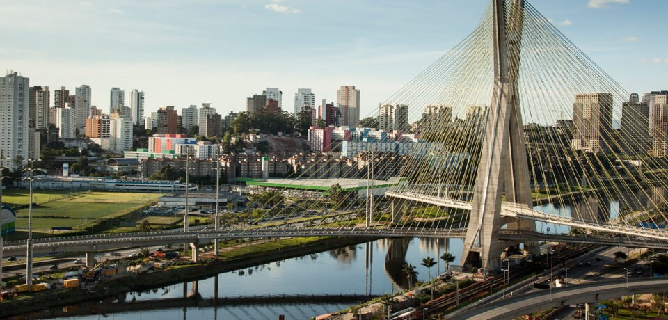 img_blog_fava__0003_5 img_blog_fava__0003_5